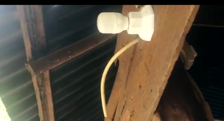 Bantuan Listrik Gratis Hanya Mimpi,  Penerima Bantuan Dikutip Biaya Pasang