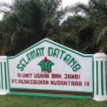 Disinyalir Ada Permainan Pada Perekrutan PKWT Pemanen PTPN IV Kebun Bah Jambi