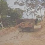Kapolres Tapsel Didesak Tangkap Dan Penjarakan Pembalak Hutan Register Di Tamtom Angkola.