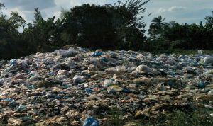 Desa Bangun Sari Baru Kab Deli Serdang Dikhawatirkan  Dikepung Sampah