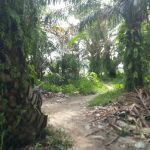 Ketua OKK DPD PWRI Sumut Kecam Kades Denai Kuala, Iskandar Minta Ampun Dihakimi Warga