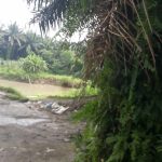 S Marpaung Ketua OKK DPD PWRI Sumut Tuding Kades Denai Kuala Bertindak Diluar Batas