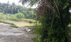 S Marpaung Ketua OKK DPD PWRI Sumut Tuding Kades Denai Kuala Bertindak Diluar Batas 