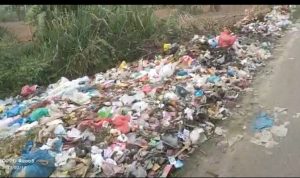 Soal Sampah Di Desa Dagang Karawang, Camat Tanjung Morawa Tantang Buat Besar Di Media