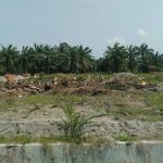 Terkait Dugaan Jual Beli Lahan Kebun Bulu Cina, PTPN 2 Akan Lapor Ke Kejatisu