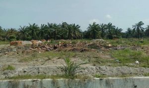 Terkait Dugaan Jual Beli Lahan Kebun Bulu Cina, PTPN 2 Akan Lapor Ke  Kejatisu