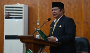 Tugu Salak P. Sidempuan Tidak Pernah Ditetapkan Taman Kota