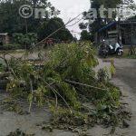 Tak Tahan Makan Abu, Warga Dusun V Desa Tanjung Selamat Percut Sei Tuan Blokir Jln Psr I