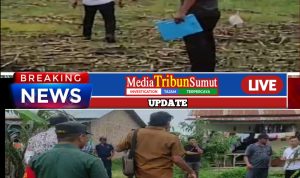 Kasus Penyebotan Lahan lagi Proses Di Polres Pelabuhan Belawan