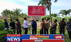 Tanah Milik Terpidana Korupsi Benny Tjokrosaputro Dititipkan Ke Kejari Deli Serdang