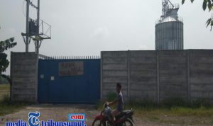 Diduga Pabrik Siluman Beroperasi Disekitar  Kantor Desa Baru
