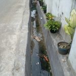 Diduga Proyek Drainase DD Ta 2022 Di Desa Selamat Sarat Permainan