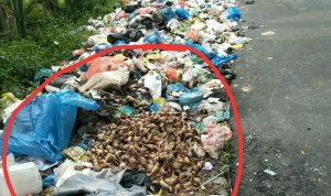 Diduga Pengusaha Buang Limbah Di Bahu Jalan Di Kec Percut Sei Tuan