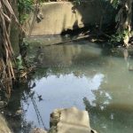 Terkait Dugaan Korupsi DD, APH Didesak Periksa Kades Selamat