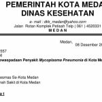 Mau Pupus Trauma Covid19, Pemprovsu Igatkan Waspadai Mycoplasma