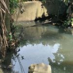 Warga Desak  APH Usut Dugaan Korupsi DD Desa Selamat