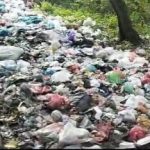 Sampah Dibuang Di Bahu Jalan, Camat Percut Sei Tuan Diminta Bertindak