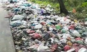 Sampah Dibuang Di Bahu Jalan, Camat Percut Sei Tuan Diminta Bertindak