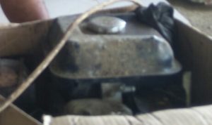 Inspektorat Deli Serdang Diminta Buka Dugaan Korupsi DD Desa Selamat