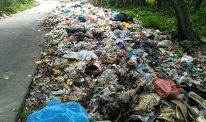 Diduga Petugas Kebersihan Kec Percut Sei Tuan Terlibat Soal Onggokan Sampah