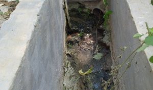 Disinyalir Proyek Drainase DD Ta 2023 Desa Tanjung Mulia Asal Dikerjakan 