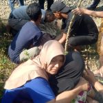 ULAR BESI KEMBALI MEMAKAN KORBAN JIWA SATU BOCAH SD WARGA FIRDAUS MENINGGAL DITEMPAT