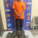 MENCURI DINAMO MILIK SUYONO SECARA BERULANG KALI PELAKU DIAMANKAN UNIT RESKRIM POLSEK TELUK MENGKUDU BERSEMBUNYI DILAHAN TANAMAN CABAI WARGA