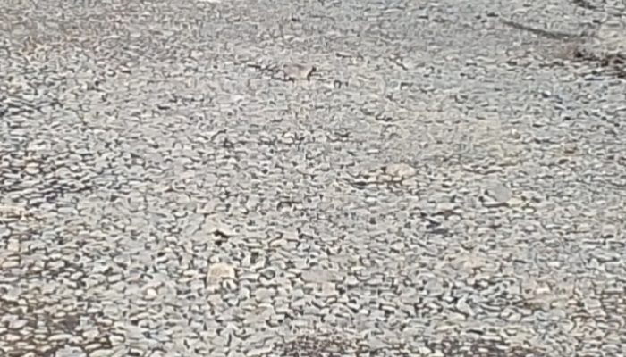 Pemeliharaan Jalan Akan Dimaksimalkan Sesuai Anggaran