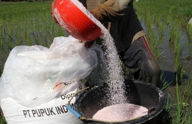 Bantuan Pupuk Dari DD Ke Poktan Di Tanjung Sari Tidak Gratis