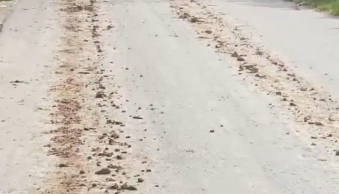 Dikhawatirkan Debu Galian C Tenggelamkan Rumah Penduduk Di Sepanjang Jalan Desa Selamat 