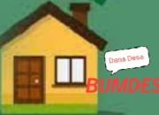 Diduga Dinas PMD Tapsel Terlibat Soal Pendirian BUMDES Tornangge