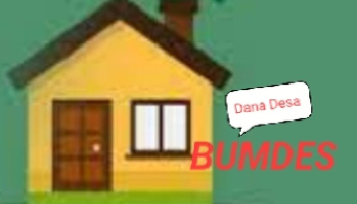 Diduga Dinas PMD Tapsel Terlibat Soal Pendirian BUMDES Tornangge 