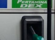 LSM PAKAR DPC Tapsel Desak Bupati, Copot Ongku MA Sormin Kadis LH