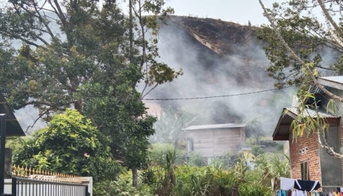Bukit Teletubbies Terbakar Lagi, Penyebabnya Masih Misteri 