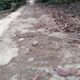Proyek Rabat Beton Ta 2024 Desa Ramba Sihasur Sudah Rusak 