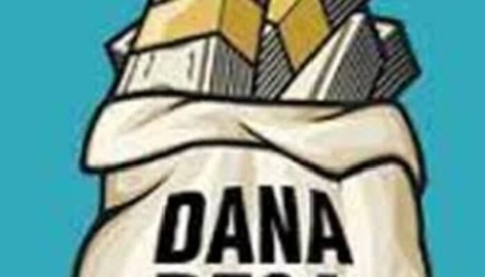 Diduga Dana Ketapang Ta 2024 Desa Panaungan Digelembungkan 