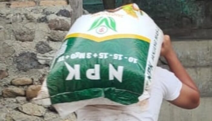 Diduga Ketua APDESI Tapsel Ada Di “Pusaran” Pengadaan Pupuk NPK Non Subsidi, 