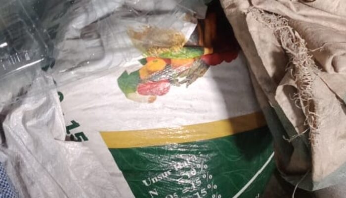 LSM PAKAR DPC Tapsel Diminta Segera Laporkan Korcam Aek Bilah, Ketua APDESI Ke APH 