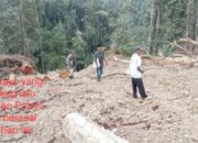 Diduga Polres Tapsel Tangkap Lepas 3 Truk Kayu