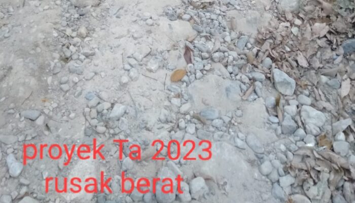 Kades Sukadame Di Kab Paluta Berang Gegara Disoroti Rabat Beton Ta 2023 Mulai Hancur 