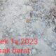 Kades Sukadame Di Kab Paluta Berang Gegara Disoroti Rabat Beton Ta 2023 Mulai Hancur 