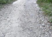 Camat Hulu Sihapas Tau Rabat Beton Di Desa Sukadame Rusak Sejak Awal 