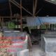 8 Ekor Sapi Diduga Dijual Kades Kota Tua Pasca Diserahkan Poktan Ternak Murni I