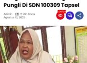 Diduga Wartawan Berita28 Mengcopy Isi Berita mediatribunsumut.com