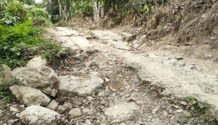 Desa Aek Batang Paya Di Lingkar PLTA Kondisi Jalannya Memperihatinkan 