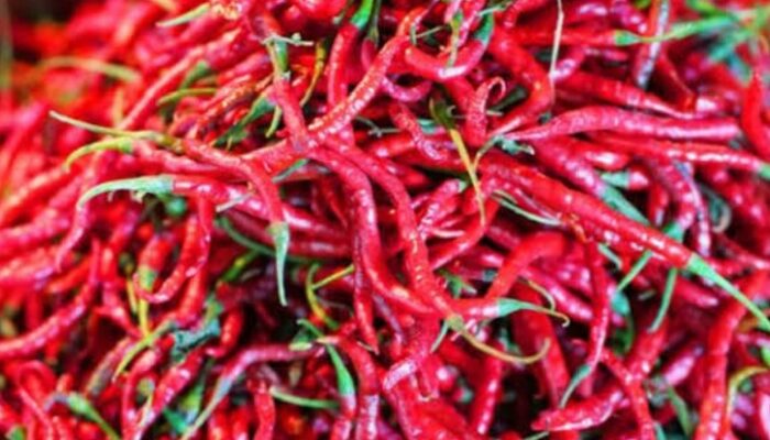 Harga Cabai Merah Di Pajak Sore Batang Kuis ” Selangit”