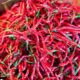 Harga Cabai Merah Di Pajak Sore Batang Kuis ” Selangit”