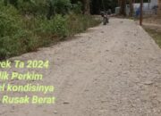 Diduga PPK Dan Penyedia Proyek Rabat Beton Ta 2024 Di Lantosan Rogas Bagi Tugas Tutupi ” Permainan”
