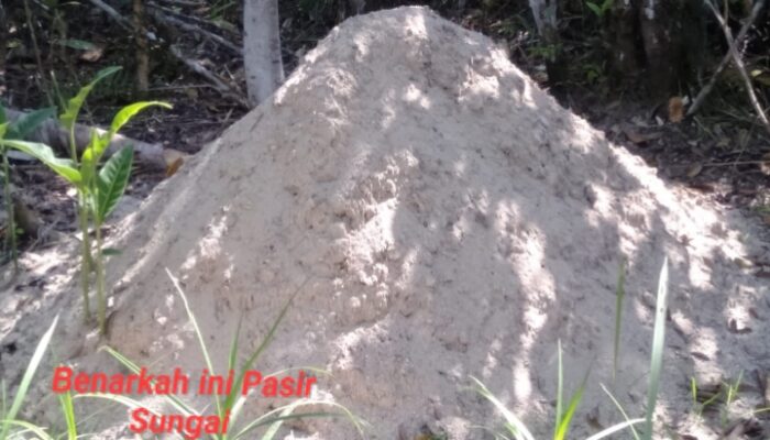 Diduga Pasir Proyek Irigasi DD Ta 2025 Padang Mandailing Garugur Tak Layak 