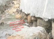 Diduga Ketua P3A Tirta Mitra Bahagia Desa Marsada Tapsel ” Boneka” PPK 